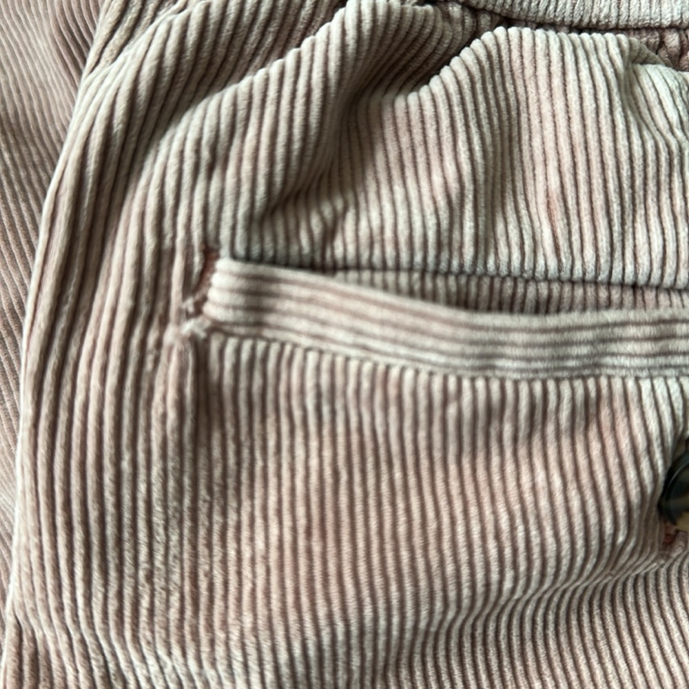 Marine Layer‎ pink corduroy pants sz L - Picture 3 of 5
